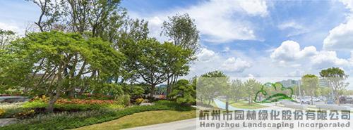 亚洲精品白浆高清久久久久久