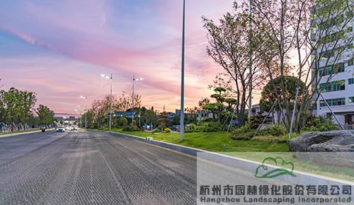 亚洲精品白浆高清久久久久久