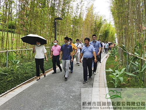 亚洲精品白浆高清久久久久久