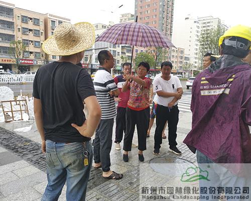 亚洲精品白浆高清久久久久久