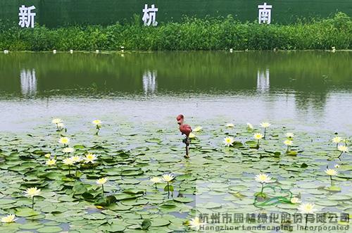 亚洲精品白浆高清久久久久久