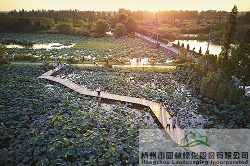 亚洲精品白浆高清久久久久久