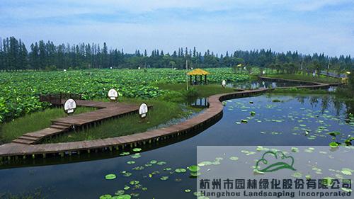 亚洲精品白浆高清久久久久久