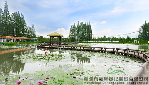 亚洲精品白浆高清久久久久久