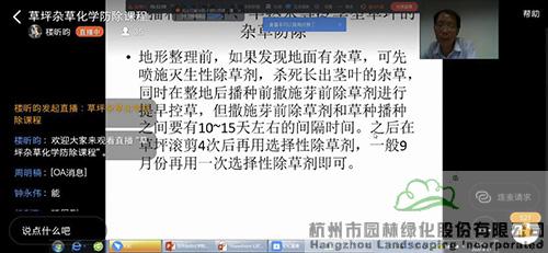 亚洲精品白浆高清久久久久久