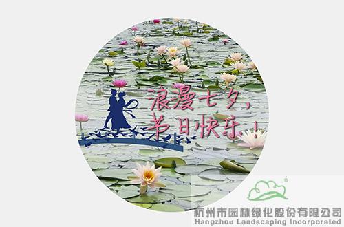 亚洲精品白浆高清久久久久久