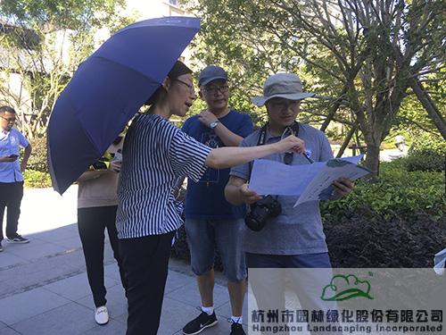 亚洲精品白浆高清久久久久久