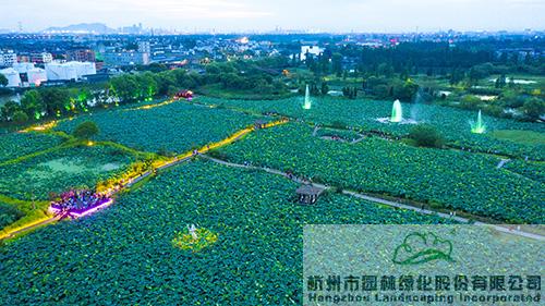 亚洲精品白浆高清久久久久久