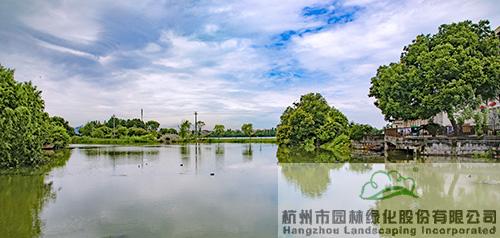 亚洲精品白浆高清久久久久久