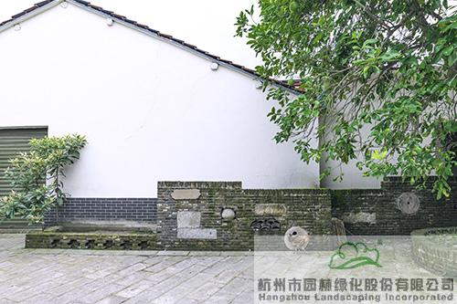 亚洲精品白浆高清久久久久久