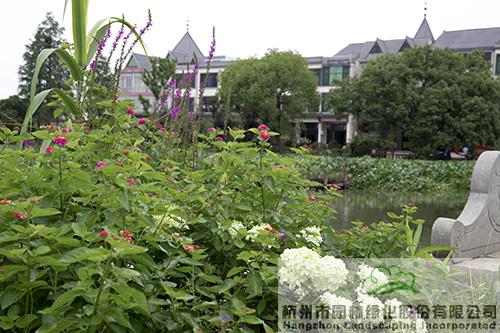 亚洲精品白浆高清久久久久久