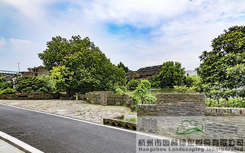 亚洲精品白浆高清久久久久久