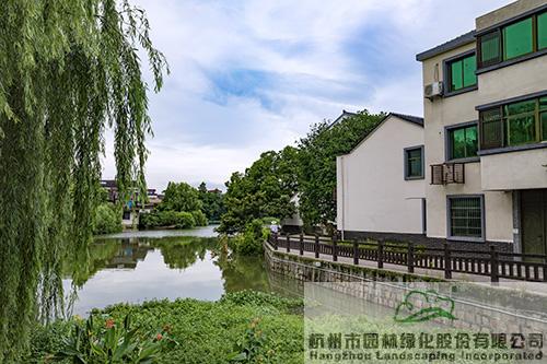 亚洲精品白浆高清久久久久久