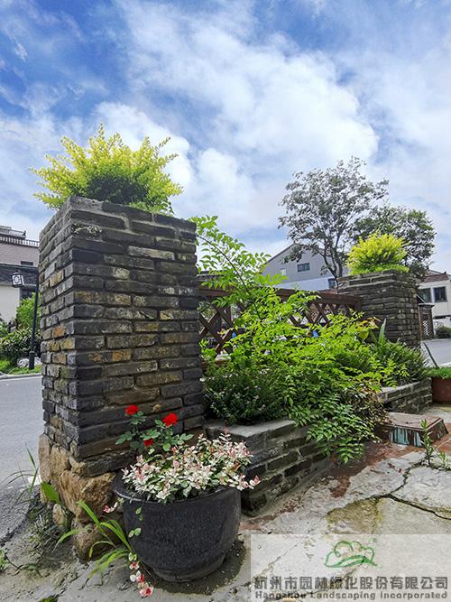 亚洲精品白浆高清久久久久久