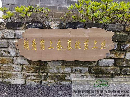 亚洲精品白浆高清久久久久久