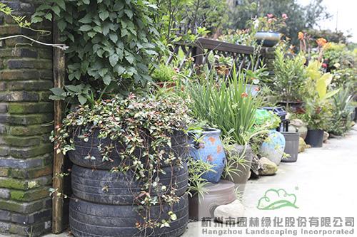 亚洲精品白浆高清久久久久久