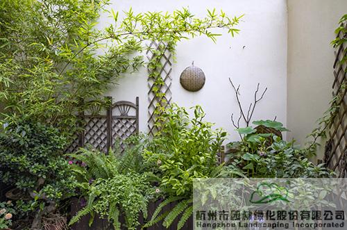 亚洲精品白浆高清久久久久久