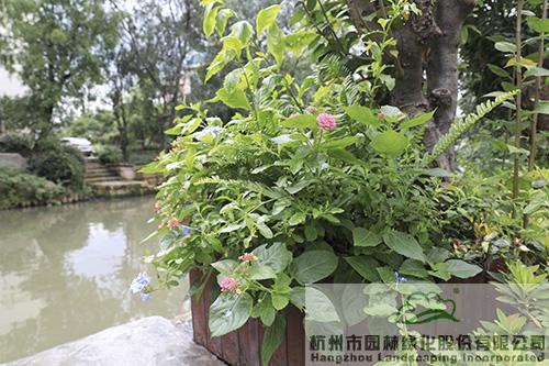 亚洲精品白浆高清久久久久久