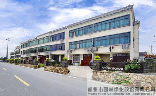 亚洲精品白浆高清久久久久久