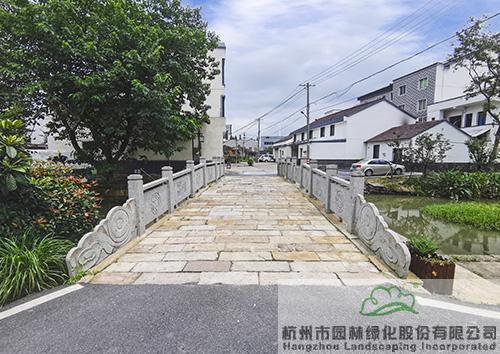 亚洲精品白浆高清久久久久久