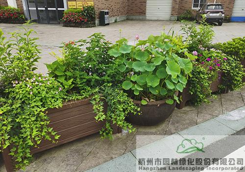 亚洲精品白浆高清久久久久久