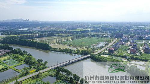 亚洲精品白浆高清久久久久久