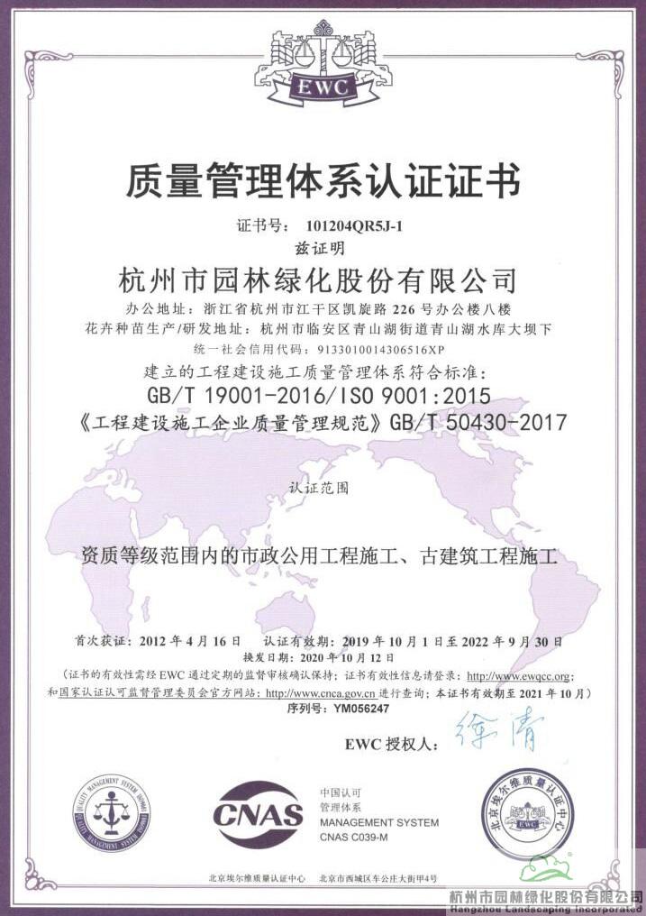 亚洲精品白浆高清久久久久久