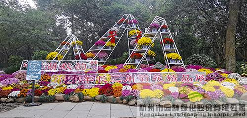 亚洲精品白浆高清久久久久久