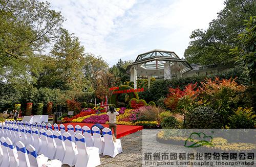 亚洲精品白浆高清久久久久久