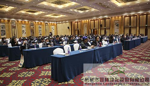 亚洲精品白浆高清久久久久久