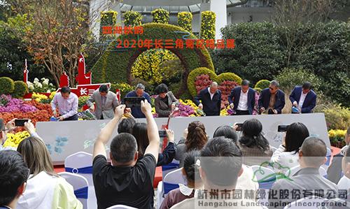 亚洲精品白浆高清久久久久久