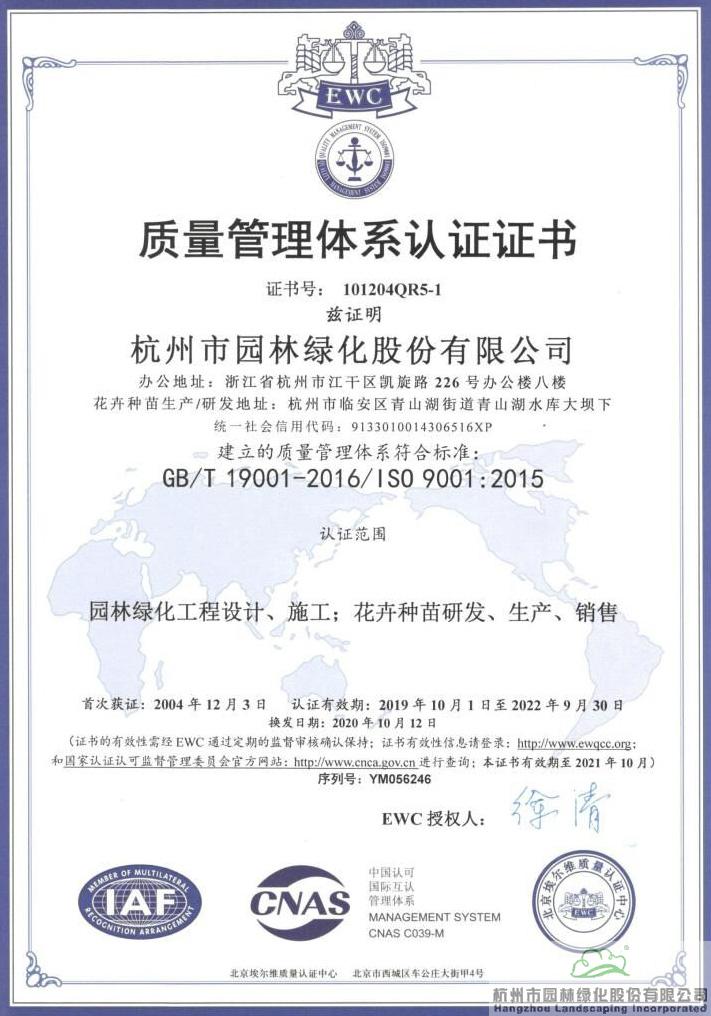 亚洲精品白浆高清久久久久久