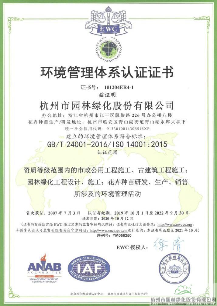 亚洲精品白浆高清久久久久久