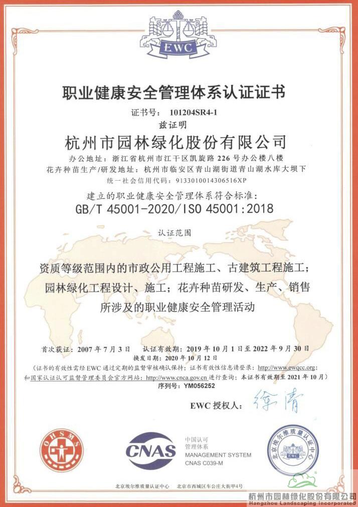 亚洲精品白浆高清久久久久久