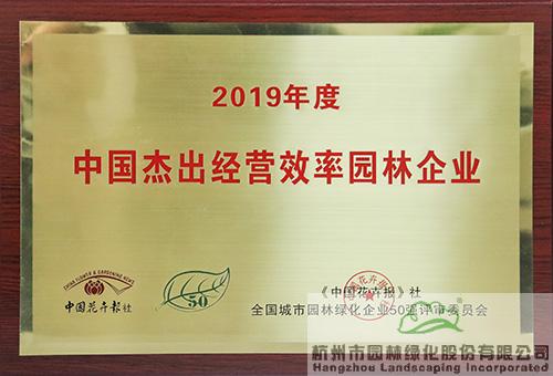 亚洲精品白浆高清久久久久久