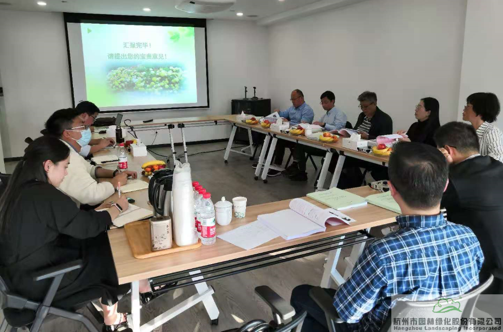 亚洲精品白浆高清久久久久久