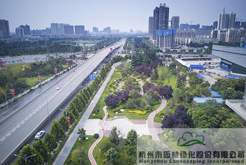 亚洲精品白浆高清久久久久久