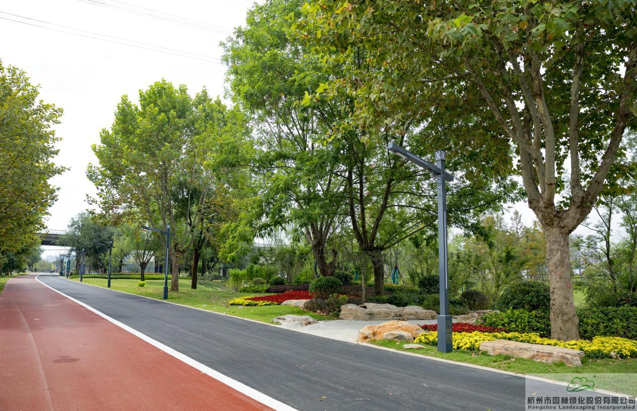 亚洲精品白浆高清久久久久久