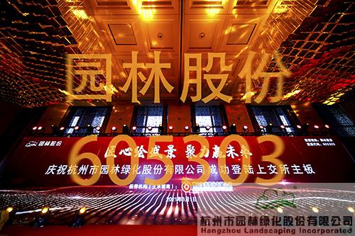 亚洲精品白浆高清久久久久久