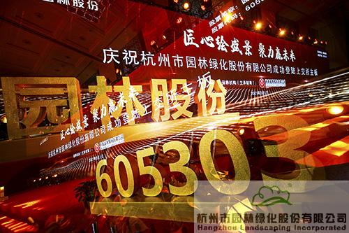 亚洲精品白浆高清久久久久久