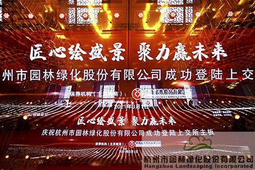 亚洲精品白浆高清久久久久久