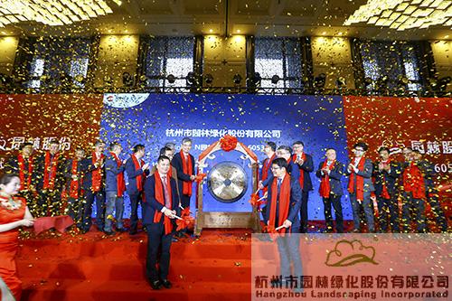 亚洲精品白浆高清久久久久久