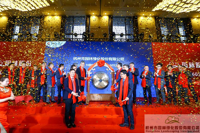 亚洲精品白浆高清久久久久久