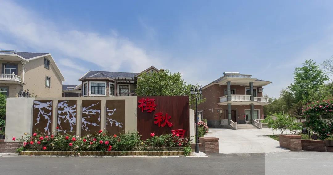 亚洲精品白浆高清久久久久久