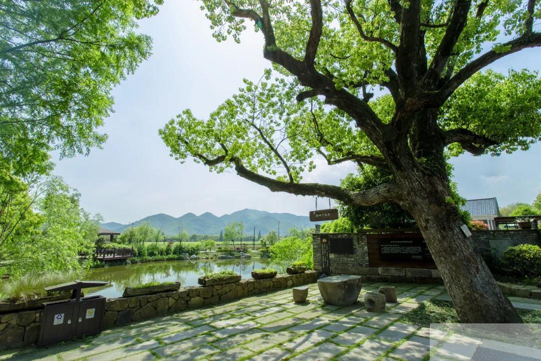 亚洲精品白浆高清久久久久久