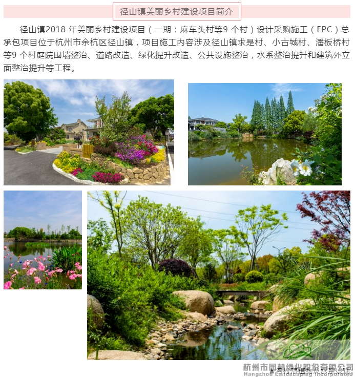 亚洲精品白浆高清久久久久久