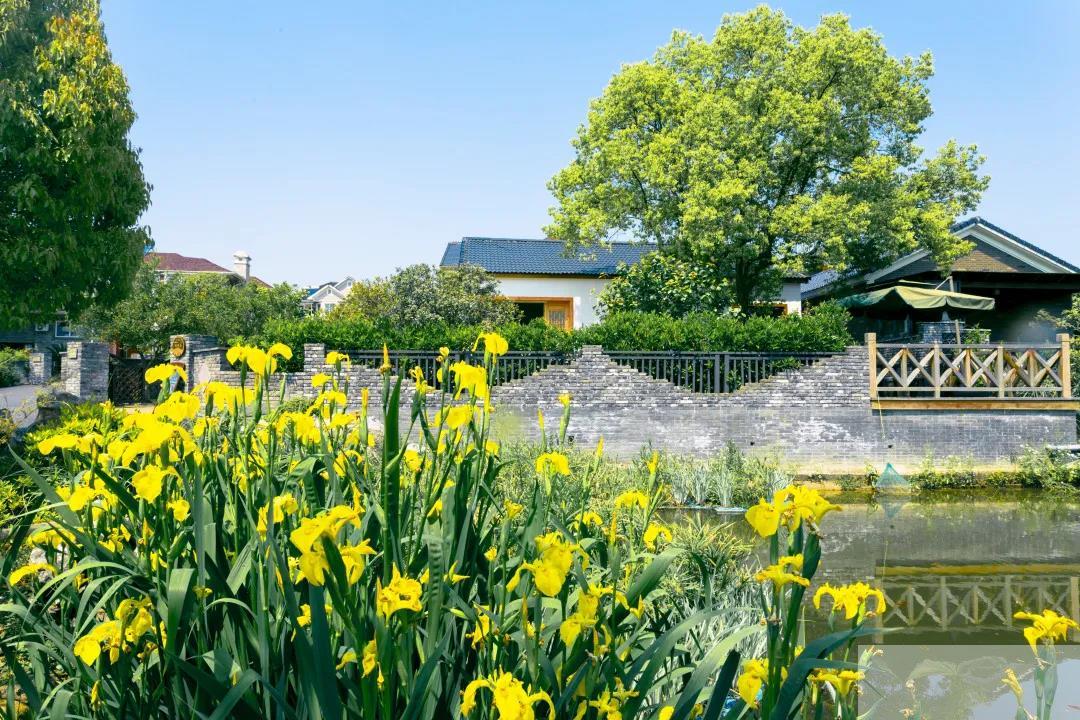 亚洲精品白浆高清久久久久久