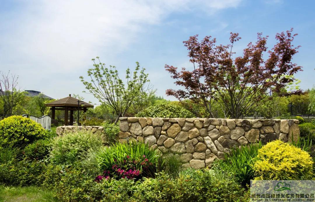 亚洲精品白浆高清久久久久久