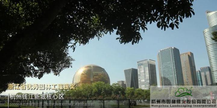 亚洲精品白浆高清久久久久久