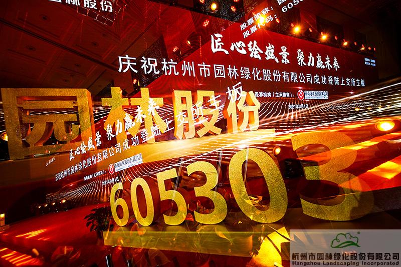 亚洲精品白浆高清久久久久久